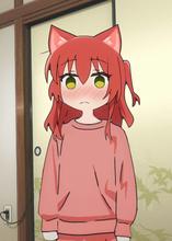 443x621